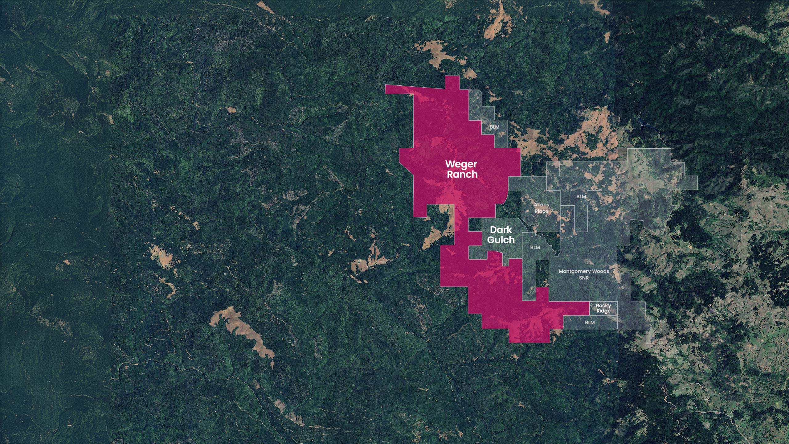 Cardiac and Renal Comorbidities in Aging People Living With HIV |  Circulation Research, image size:2560x1440