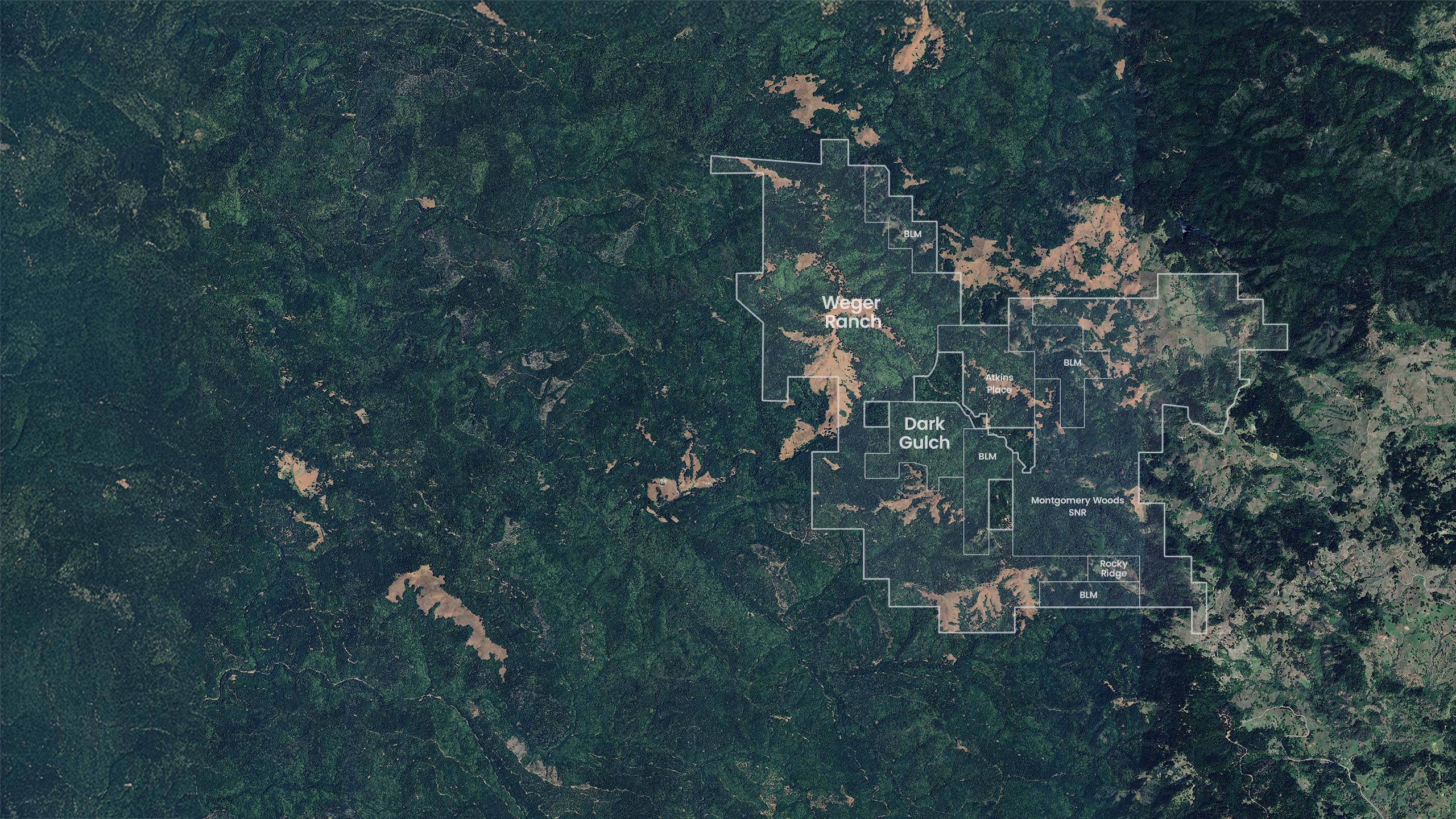 The Agnes Irwin School - Annual Report 2025 by The Agnes Irwin School -  Issuu, image size:2560x1440