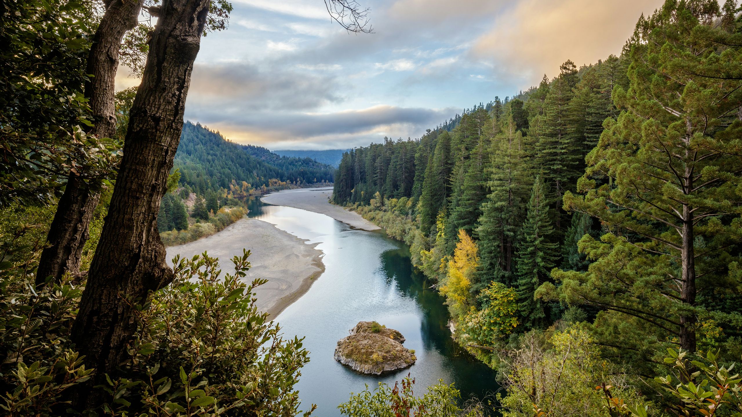 ANNUAL REPORT, image size:2560x1440